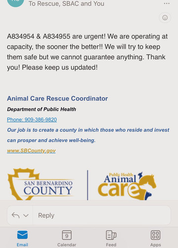 G PqOPLWoAAgHSl?format=jpg.jpg