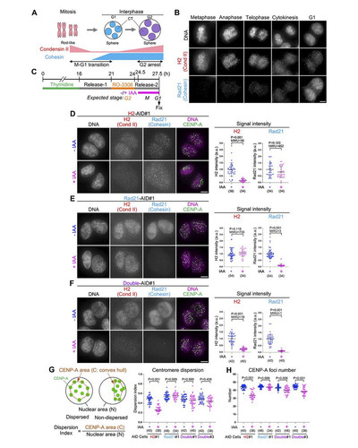 G PgedmWoAAMV1w?format=jpg.jpg