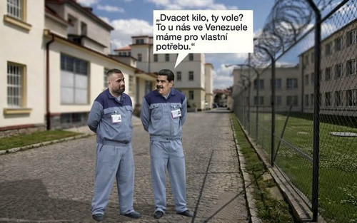 607881477 1388998989553471 7678264397275690786 n.jpg