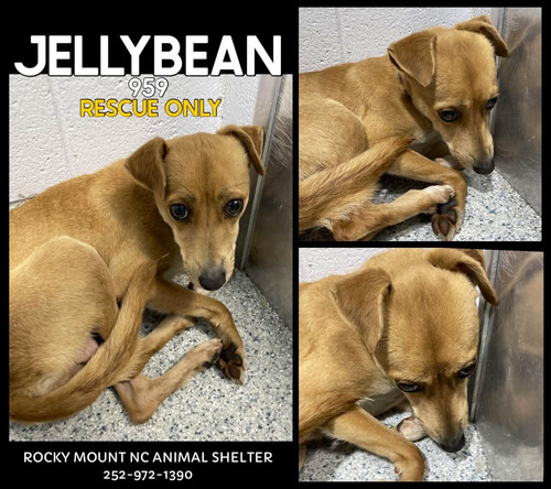 G K8ymXWYAEZN96?format=jpg.jpg