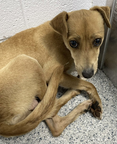 G OjUYYa0AEI753?format=jpg.jpg