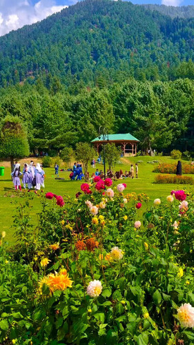 TiiAbjrPbUmtCdZ .jpg