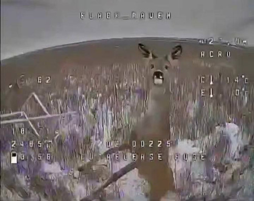 RdiEa17M5pXGhbMPG1PKj3uL3DQ mR z2o0h1DrKqVPYs1w3DfoiPw4grO81N8QSVN5MvustGYD2yn2lXb8o ohTCavUIXhgc CB.jpg