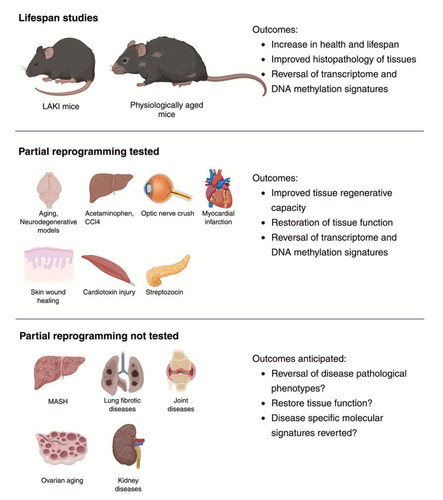 G J47XFWQAcP4uJ?format=jpg.jpg