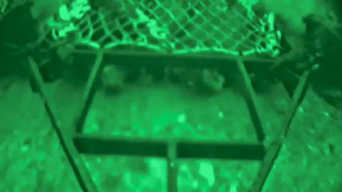 M9stMQY7HY2 wy g.jpg