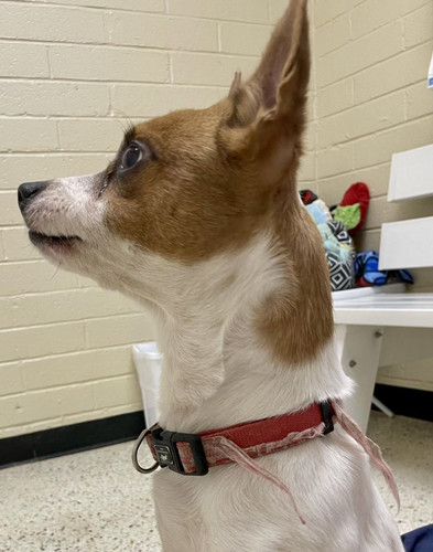 G OlDLabMAAGBHP?format=jpg.jpg