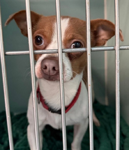 G QmmY3WoAAWyHk?format=jpg.jpg