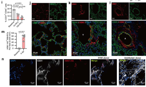 G MGjzPXsAASvjC?format=png.png