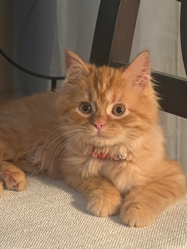 610881316 122268021812185018 7072455250483107128 n.jpg