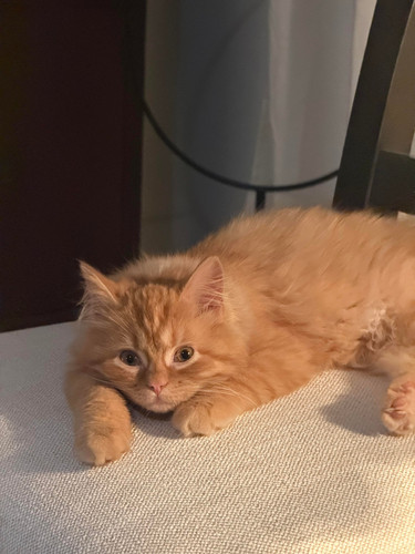 610846162 122268021830185018 8764194363298270968 n.jpg