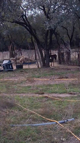 fbF dtl seEqFS5N.jpg