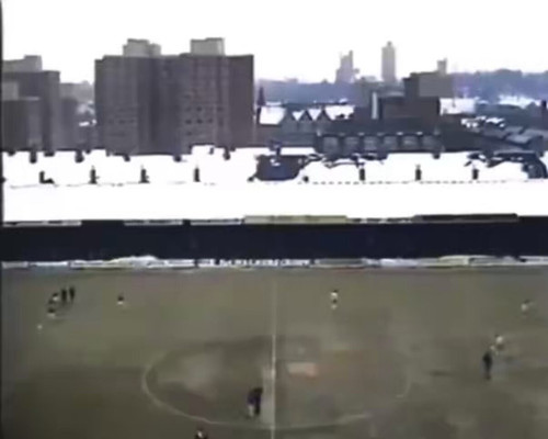 L1n0YF1FYy8 YI69.jpg