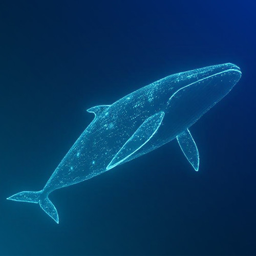 G OMNdfbUAAUws0?format=jpg.jpg