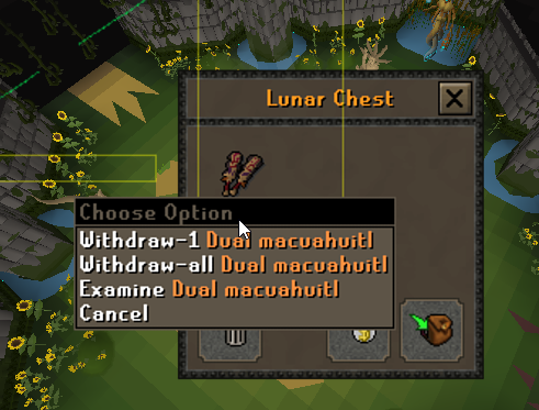 RuneLite iWjYX2nmjp.png