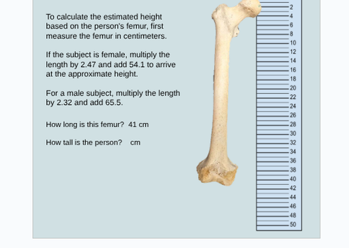 Screenshot 2026 01 09 9.10.57 PM.png