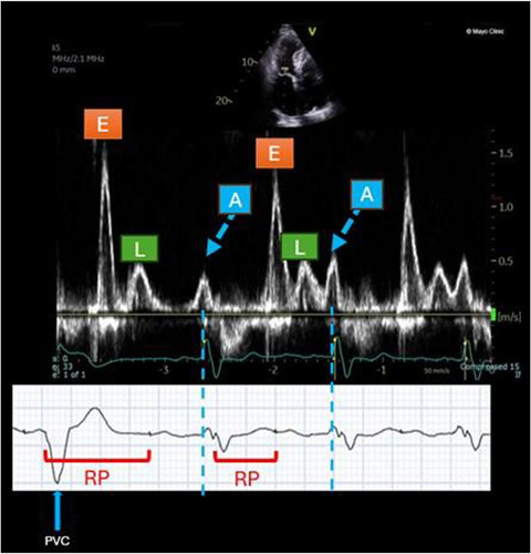 G OXjfsWkAEKiz ?format=jpg.jpg