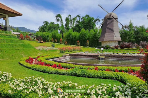 The Blooms Garden.jpg