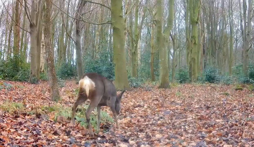 M74l SLLUPojng7h.jpg