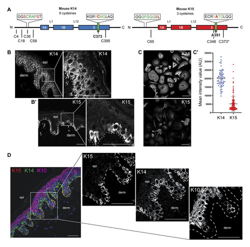 G PNBeqXMAErf61?format=jpg.jpg