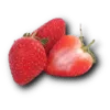 4fc2e69c812e.webp