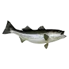 2b48c7f92b2d.webp