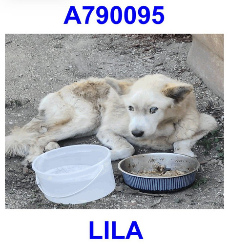 G QfKVIWEAAWhur?format=jpg.jpg