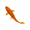 01491a7c089f.webp