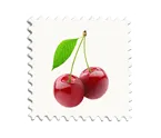 f2b2426df5f2.webp