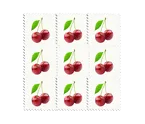 dcb45603a086.webp