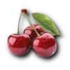 6990f8c6955a.webp