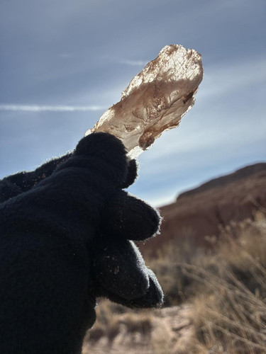 G QWm1hWAAAS 6?format=jpg.jpg