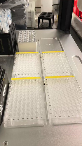 mzg85 e tsNxyWYJ.jpg