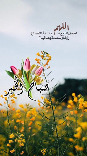 G WxJdcasAQ qan.jpg