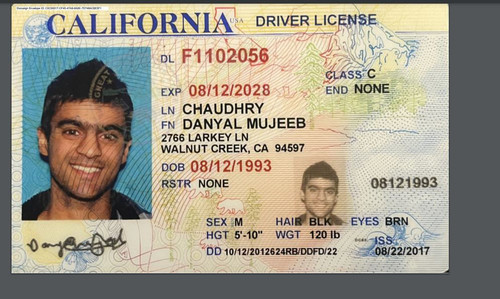 Danyal Mujeeb Chaudhry license image.jpg
