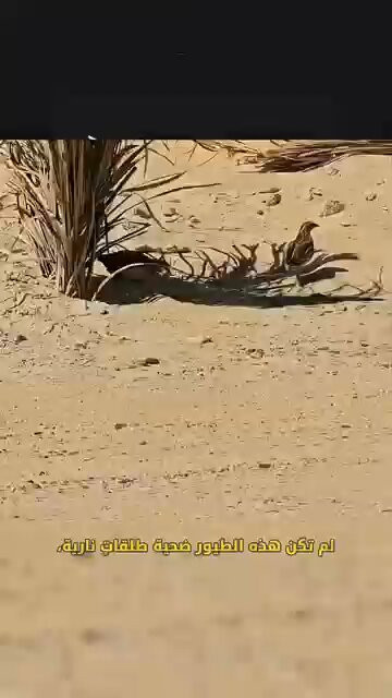 7S7NkKC4 nWgiSux.jpg