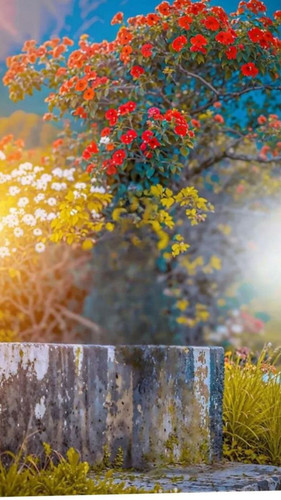 file 129.jpg