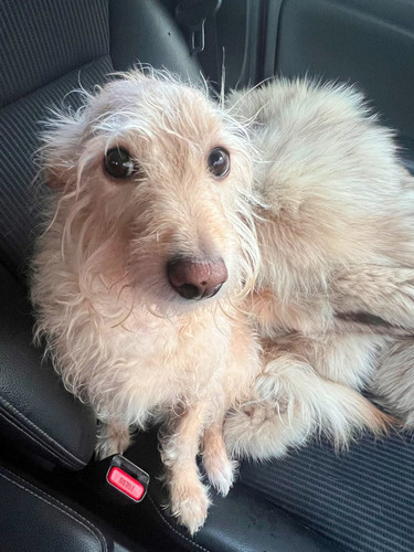 G N1iw1WcAAUraT?format=jpg.jpg