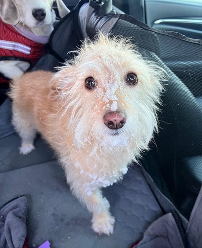 G N1iw1XYAAhVRI?format=jpg.jpg