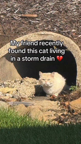 qwOTxJOcjVmhdUA .jpg