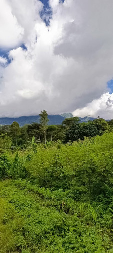 G Mz3ExWEAA3odl?format=jpg.jpg