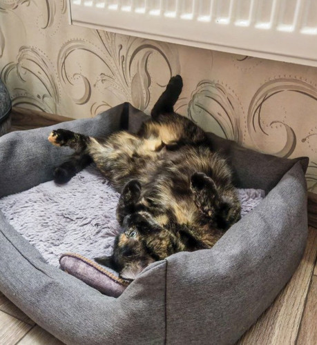 G PnZioXcAAWaQ3?format=jpg.jpg