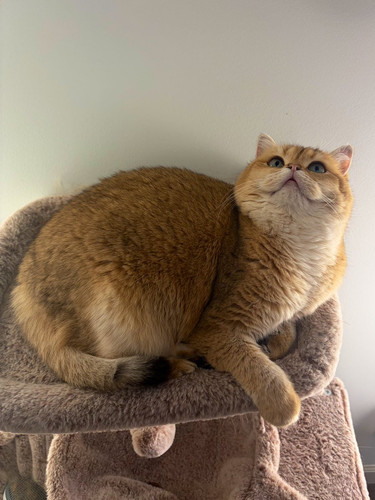 G NOj wa0AE1pc9?format=jpg.jpg