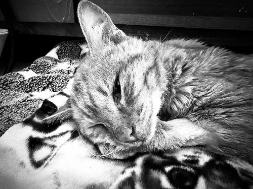 G OnMVcXgAADMdG?format=jpg.jpg