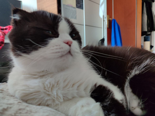 G QE9msWUAAFYot?format=jpg.jpg