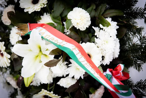 612372766 1204806541840236 7892664873077433925 n.jpg?stp=dst jpg s590x590 tt6& nc cat=108&ccb=1 7& n.jpg