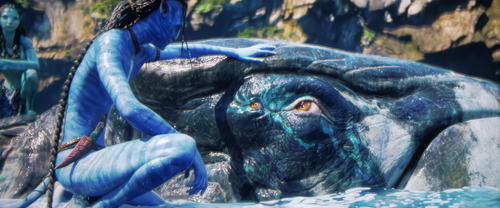 vlcsnap 2026 01 10 13h13m22s784.png