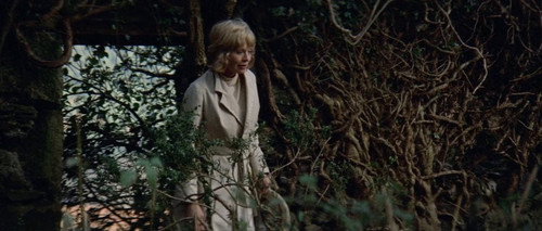 XftDo e6L1qQrfrc.jpg