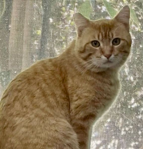 G QBWG4asAAeU3C?format=png.png