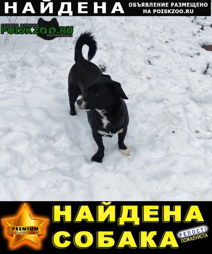 G PZMPtWUAAK1GQ?format=jpg.jpg