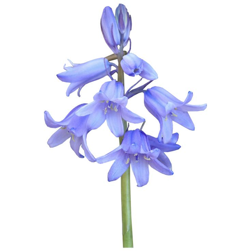 Untitled549 20260108173641.png
